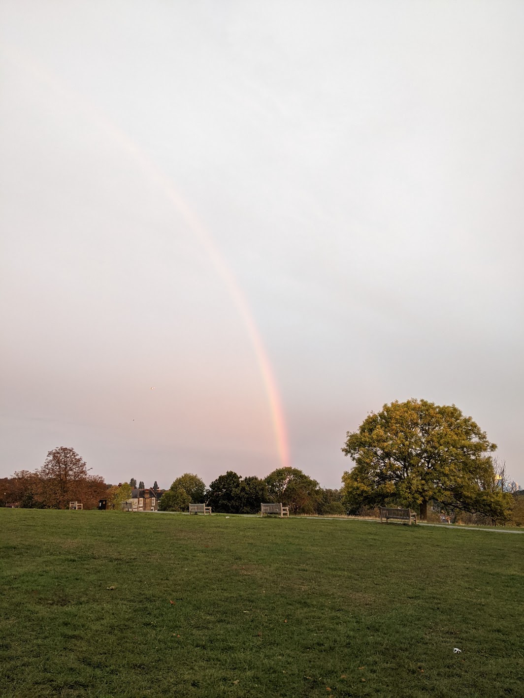 rainbow in sky, view from park on top of a hill